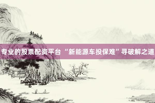 专业的股票配资平台 “新能源车投保难”寻破解之道