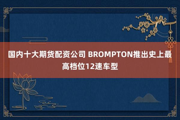 国内十大期货配资公司 BROMPTON推出史上最高档位12速车型